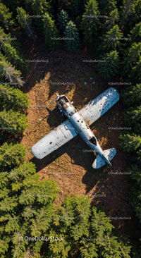 Abandoned Plane in Lush Green Forest from Above