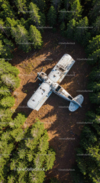 Abandoned Airplane in Forested Clearing Aerial View