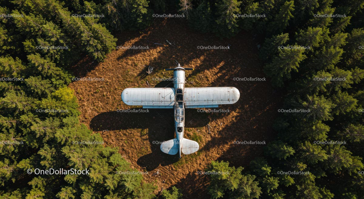 Abandoned Airplane in Forest Clearing from Above