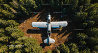 Abandoned Plane Amidst Dense Forest from Above