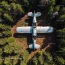 Aerial View of Abandoned Airplane in Dense Forest