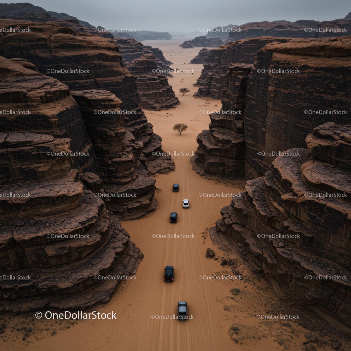 Off-Road Vehicles Navigating Rugged Desert Canyon