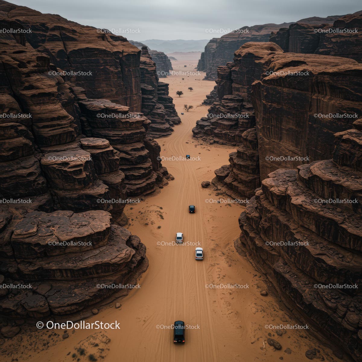 Aerial View of Cars Traversing Desert Canyon Road