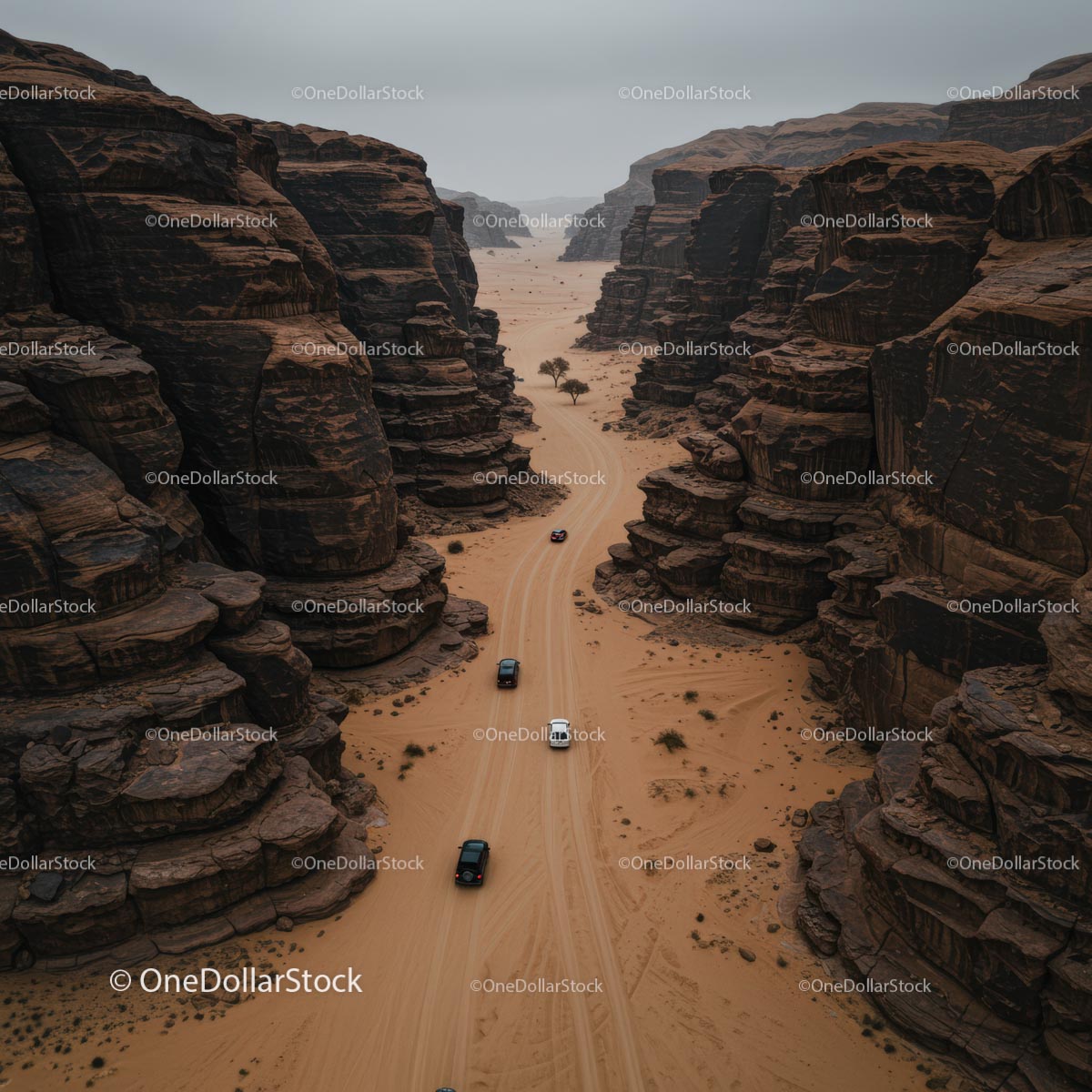 Off-Road Vehicles Navigating Majestic Desert Canyon