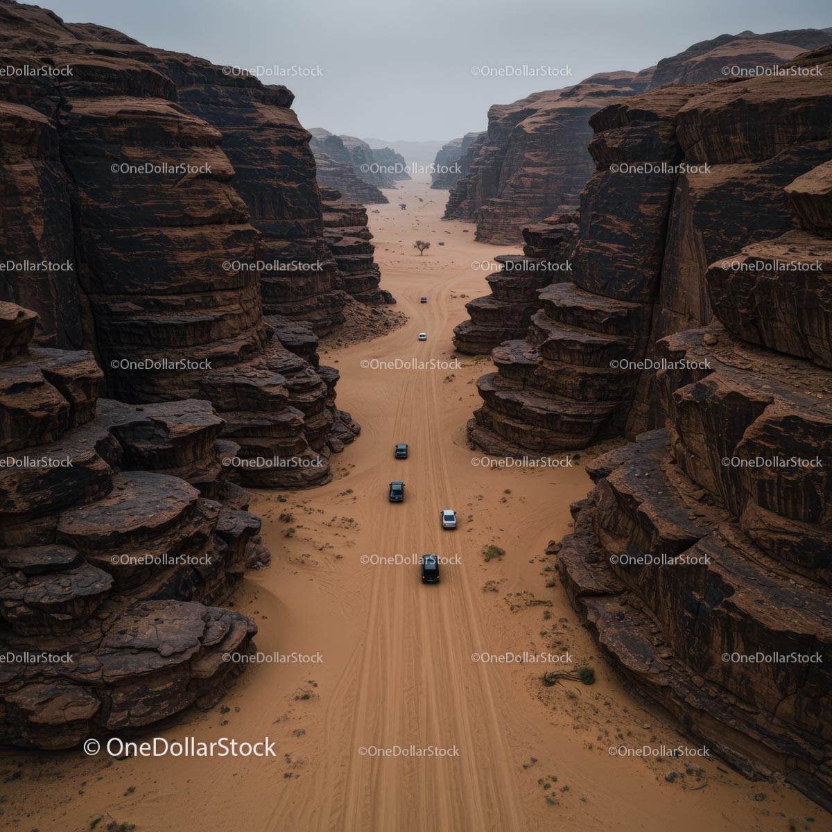 Off-Road Vehicles Navigating Desert Canyon