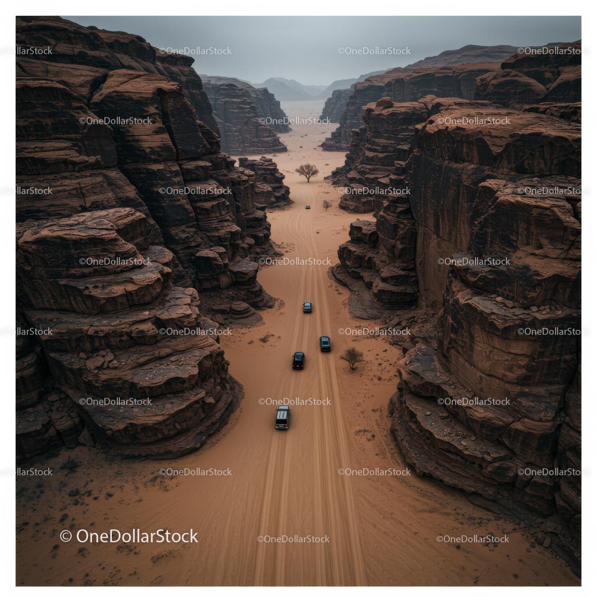 Aerial View of Cars Navigating a Remote Desert Canyon