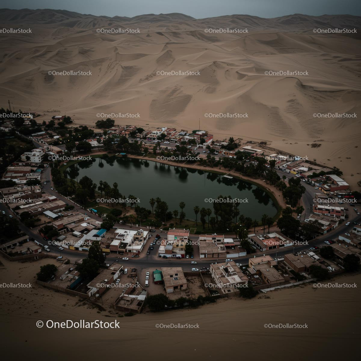 Aerial View of Desert Oasis Surrounded by Sand Dunes