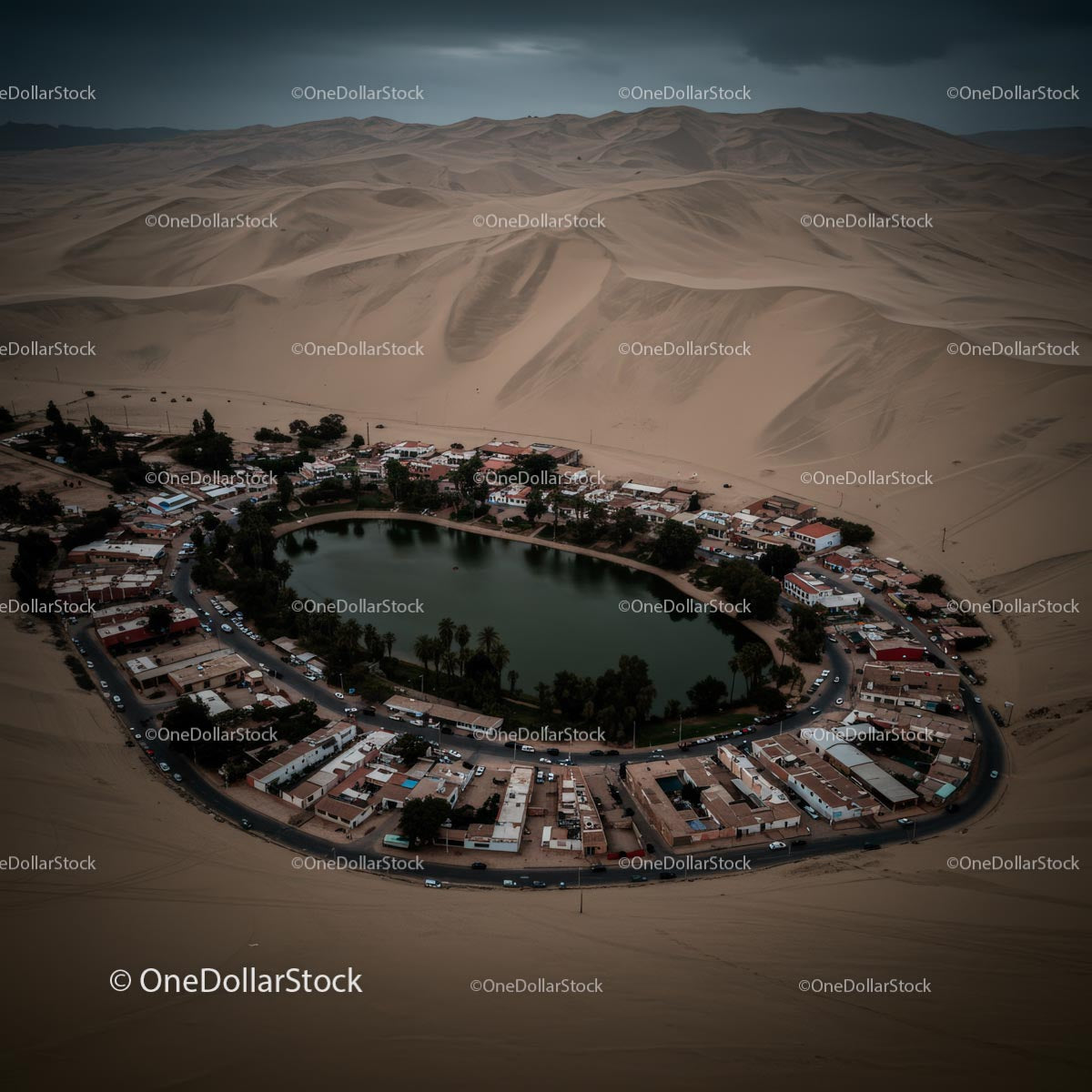 Aerial View of an Oasis Surrounded by Desert Sand Dunes