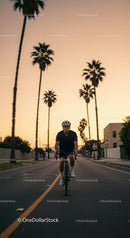 Cyclist Riding Through Palm-Lined Streets at Sunset