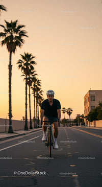 Cyclist Riding Through Palm-Lined Street at Sunset