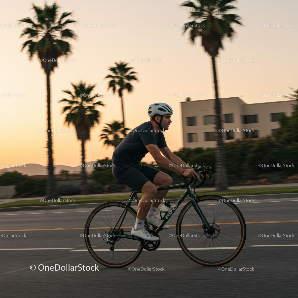 Cyclist Riding Past Palm Trees at Sunset