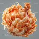 Close-Up of Onion Layers with Elegant Curves