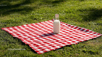 Milk Bottle on Red Checkered Picnic Blanket in Sunny Meadow
