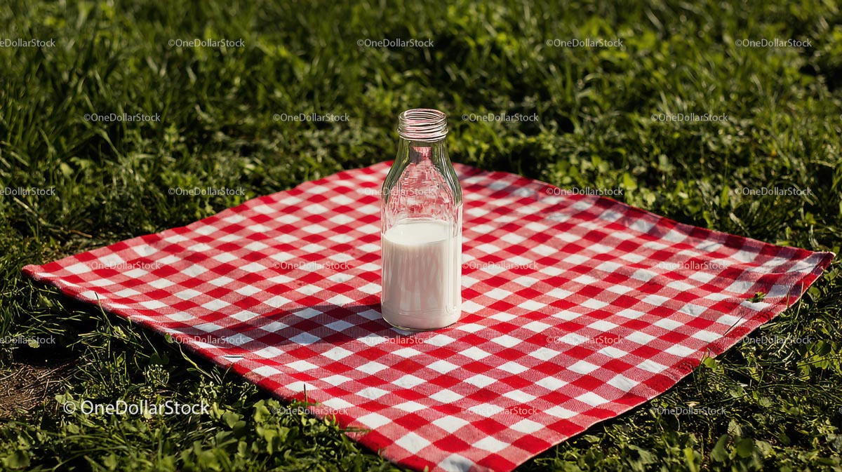 Glass Bottle of Milk on Checkered Picnic Blanket Outdoors