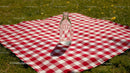 Milk Bottle on Red Checkered Picnic Blanket in Sunny Meadow