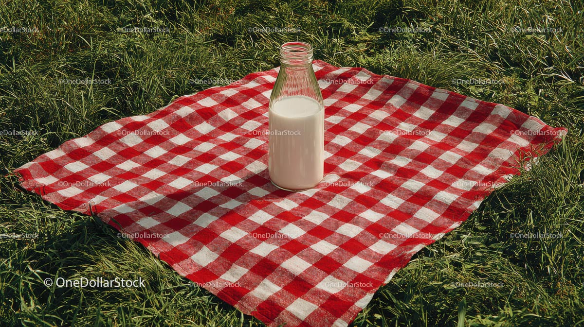 Milk Bottle on Red Checkered Picnic Blanket
