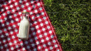 Milk Bottle on Red Checkered Picnic Blanket in Sunny Meadow