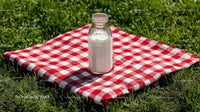 Milk Bottle on Red Checkered Picnic Blanket in Sunny Meadow