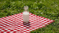 Milk Bottle on Red Checkered Picnic Blanket in Grass