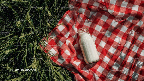 Red Checkered Blanket with Milk Bottle on Grass