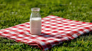 Milk Bottle on Red Checkered Picnic Blanket in Sunny Meadow