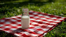 Glass Milk Bottle on Red Gingham Picnic Blanket Outdoors