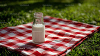 Glass Milk Bottle on Red Gingham Picnic Blanket Outdoors