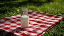 Milk Bottle on Red Checkered Picnic Blanket in Sunny Meadow