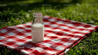 Milk Bottle on Red Checkered Picnic Blanket in Sunny Meadow