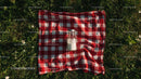 Milk Bottle on Red Checkered Picnic Blanket in Sunny Meadow