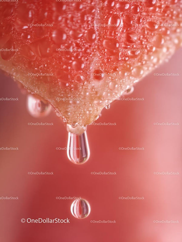 Juicy Strawberry Macro with Water Droplets