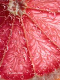 Close-Up of Juicy Grapefruit Slice with Water Droplets