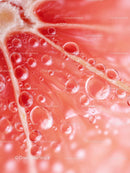 Macro of Fresh Pink Grapefruit Slice with Water Droplets