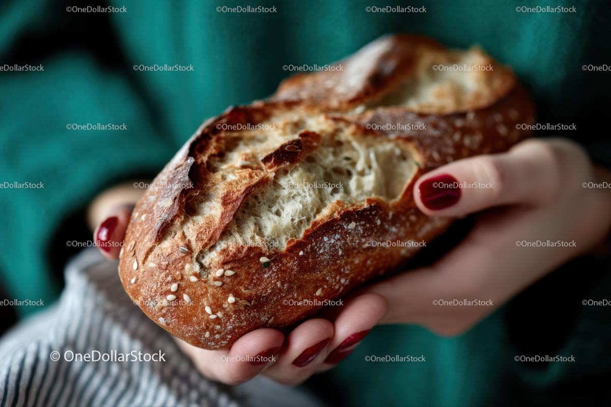 Fresh Artisan Loaf with Crispy Crust in Hands (39 Images)