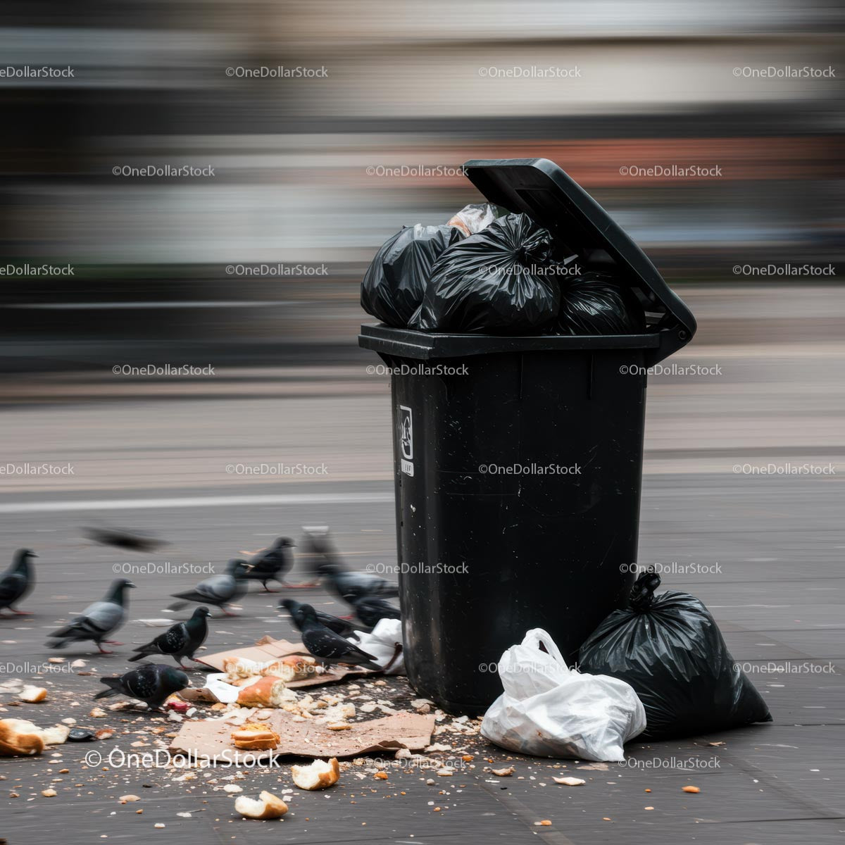 Overflowing Trash Bin with Scavenging Pigeons in Urban Setting