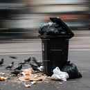 Overflowing Trash Bin with Scavenging Pigeons in Urban Setting