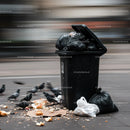 Overflowing Garbage Bin with Pigeons in Urban Street