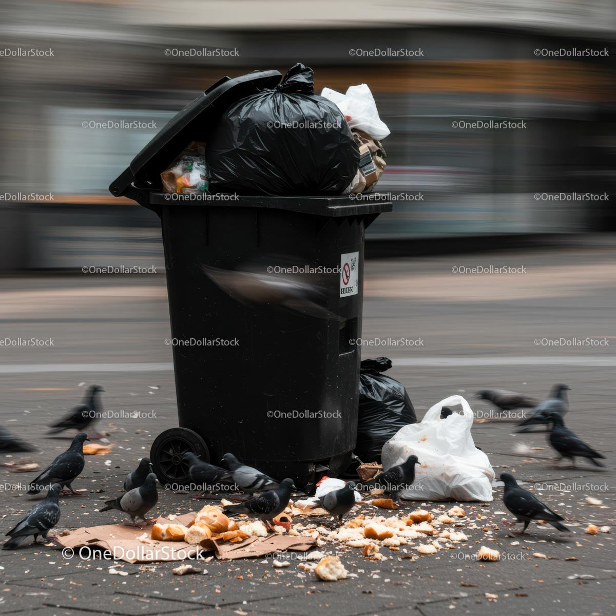 Overflowing Garbage Bin with Pigeons in Urban Street