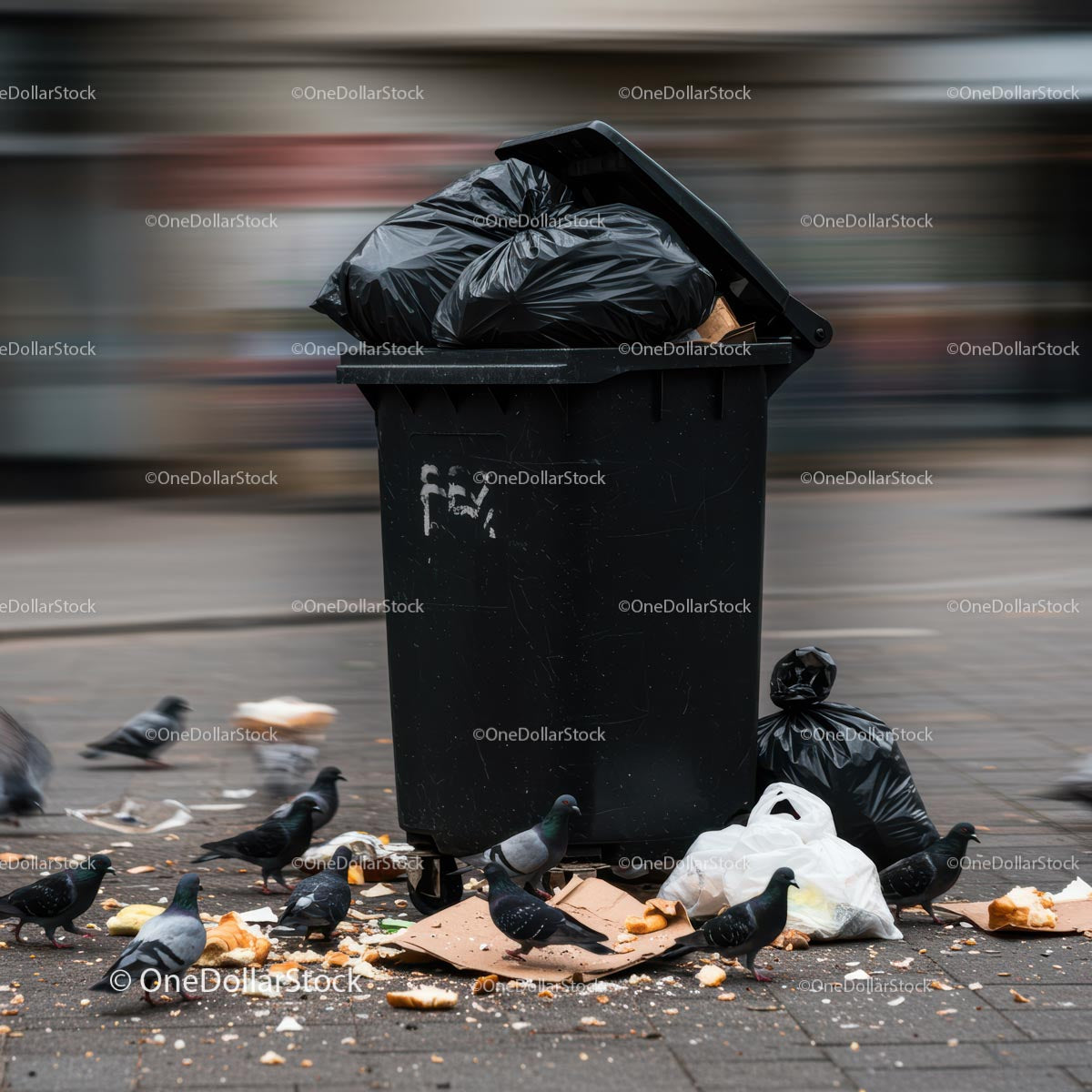 Pigeons Feeding Around a City Garbage Bin