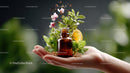 Natural Aromatherapy with Fresh Herbs and Essential Oils
