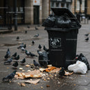 Overflowing Garbage Bin with Pigeons in Urban Street