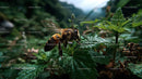 Honey Bee on Green Leaves in Lush Wilderness