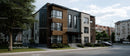 Modern Apartment Building on Tree-lined Street