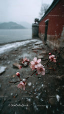 Cherry Blossoms Along a Tranquil Riverside Path in Spring