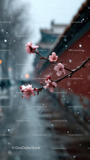 Cherry Blossoms Along a Tranquil Riverside Path in Spring