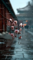 Cherry Blossoms Along a Tranquil Riverside Path in Spring