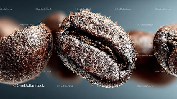 Macro Shot of Roasted Coffee Beans in Detail