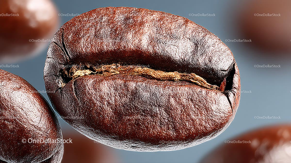 Macro Shot of Rich Brown Roasted Coffee Bean