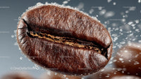 Close-up of a Fresh Roasted Coffee Bean