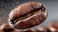 Detailed Close-Up of a Roasted Coffee Bean